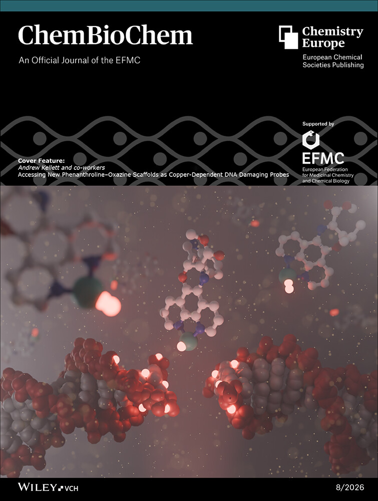 ChemBioChem cover featuring the 2026 phenanthroline-oxazine research article